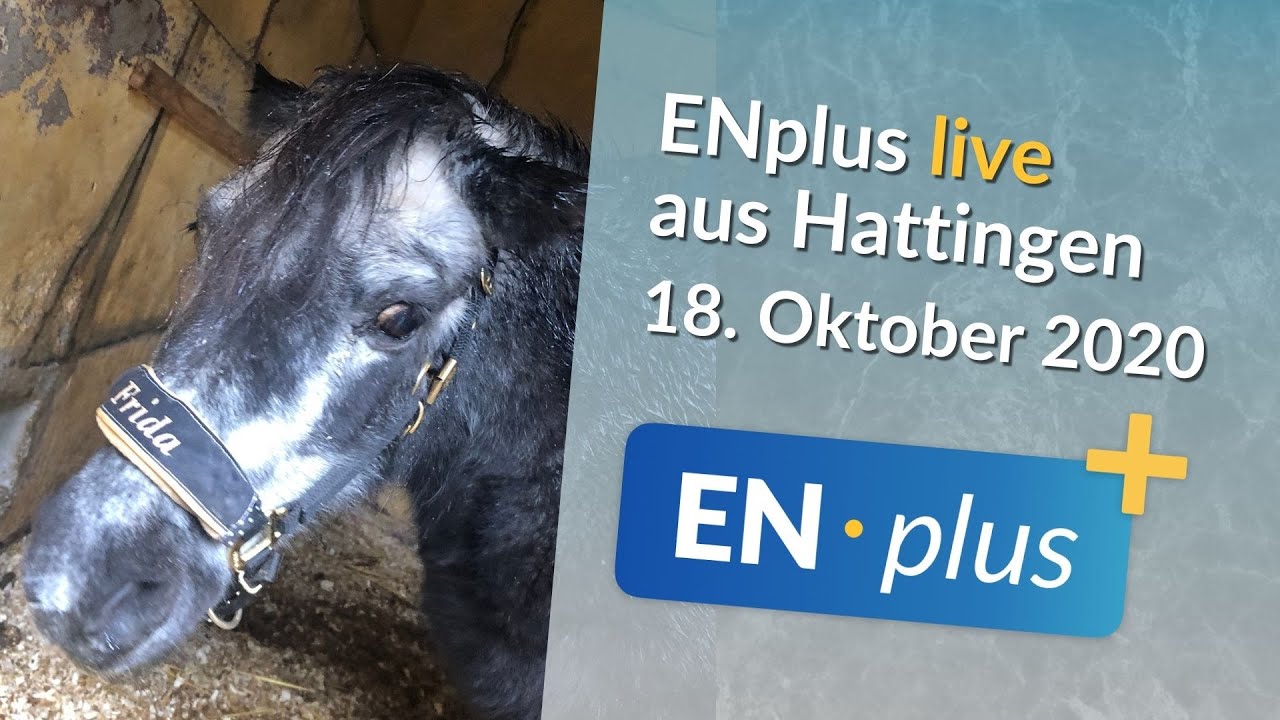 Ältestes Pony Deutschlands, Livemusik aus Ennepetal & Kunst in Hattingen
